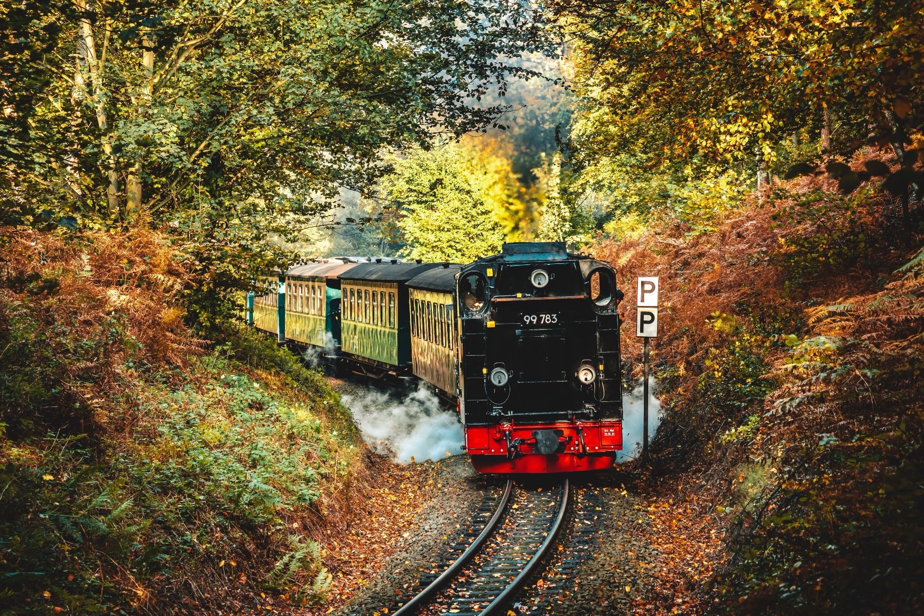Rasender Roland fährt durch idyllischen Herbstwald