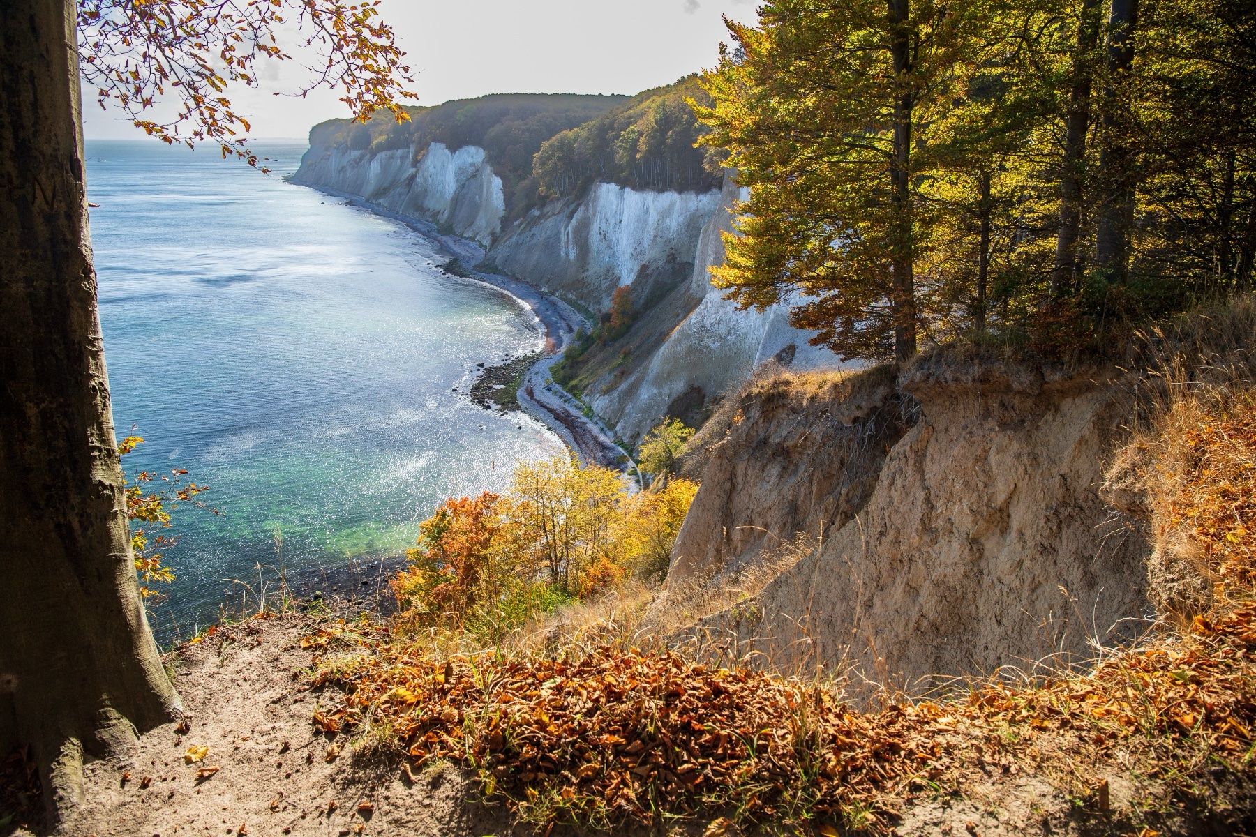 Blick auf die Kreidefelsen im Nationalpark Jasmund